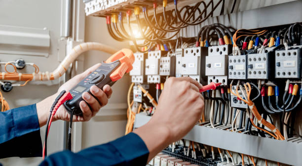 Best Electric Panel Repair  in Radisson, NY